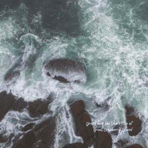 Drone photograph of wave crashing on the Great Cranberry Island shore.